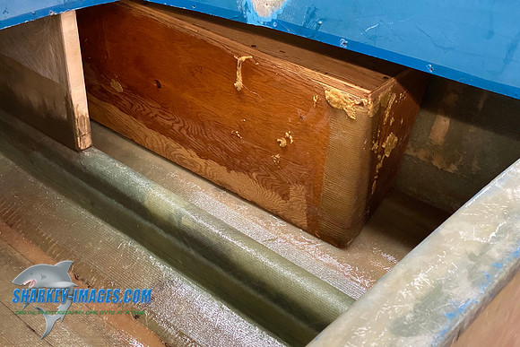 06BA33CF-1EB3-4134-BA80-6B4E1C78811D