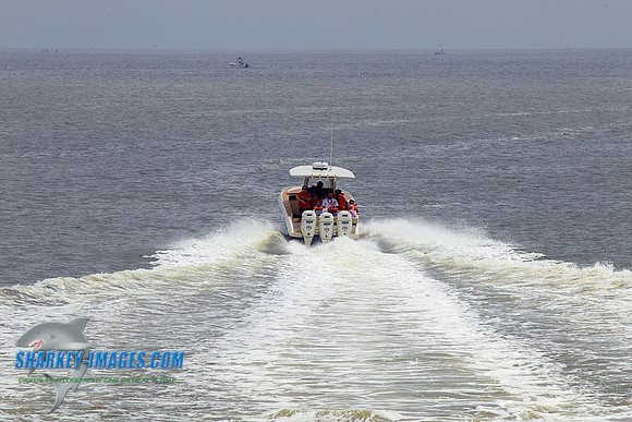 120714 TS_D 133