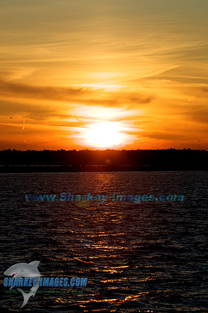 110812C 7 - Version 2