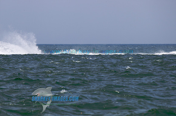 120513A 281 - Version 2