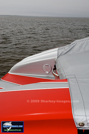 051609_ 115 - Version 2.jpg