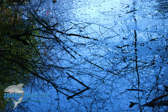 020209 047.jpg