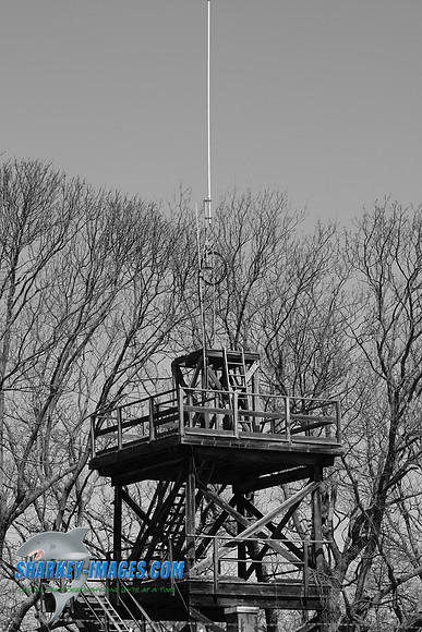 TSI_0077.JPG