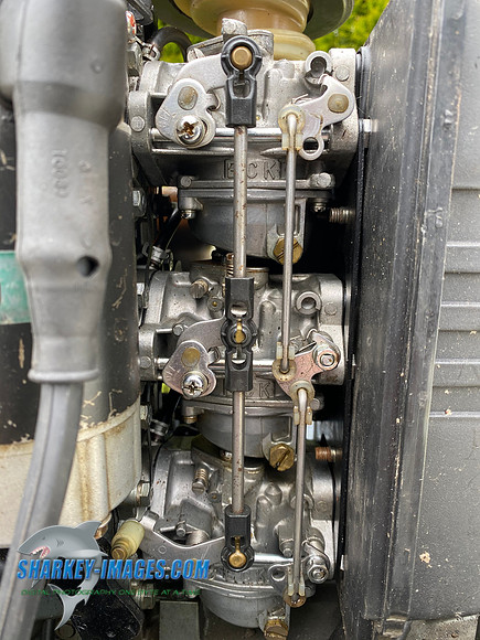 CF606C04-DE6F-441A-A8CF-49A8A3D3E8EC