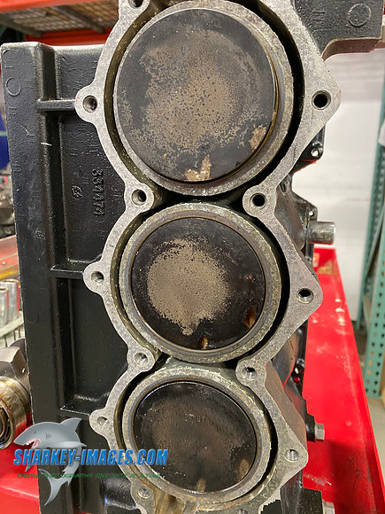 A3D1964D-31CD-40D4-AF9E-D22E7FCD30B9