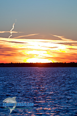110203A  1483 - Version 2