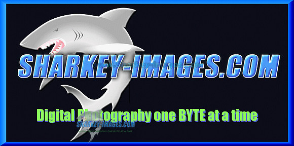 sharkey-images_logo.gif