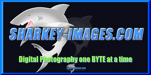 sharkey-images_logo.gif