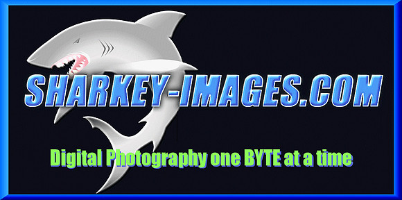 sharkey-images_logo.gif