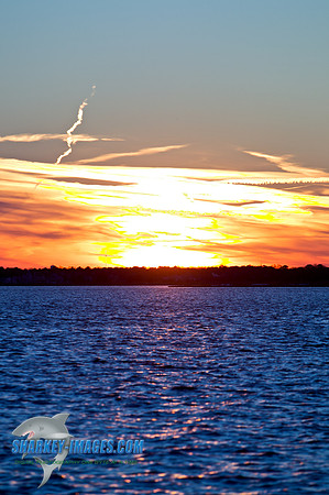 110203A  1481 - Version 2