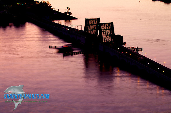 120223A 7 - Version 2