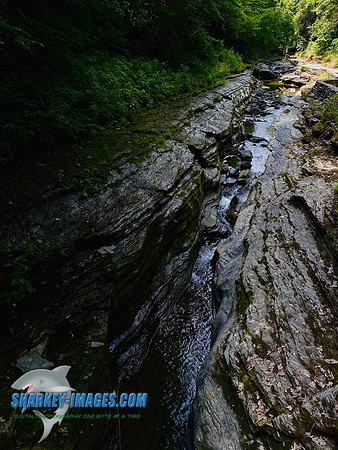 157A92FF-3597-43DF-A85B-97B745C05B15