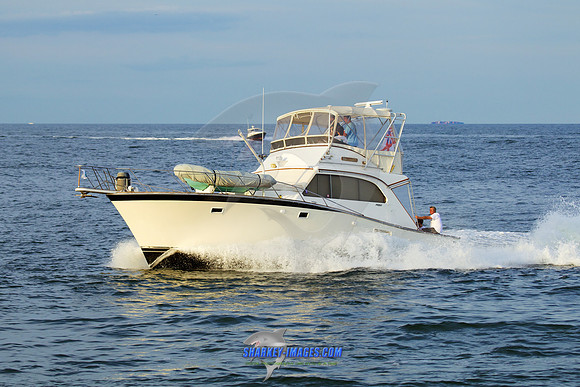 160902A 361