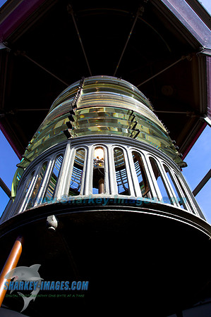 110409 35 - Version 2