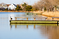 100317_C 5 - Version 2