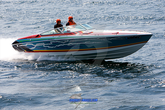 052210_B 198 - Version 2