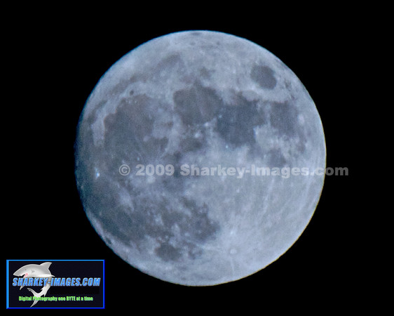 MOON  006 - Version 2.jpg