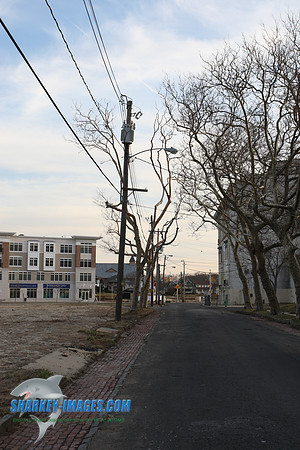 5T0F0523.JPG