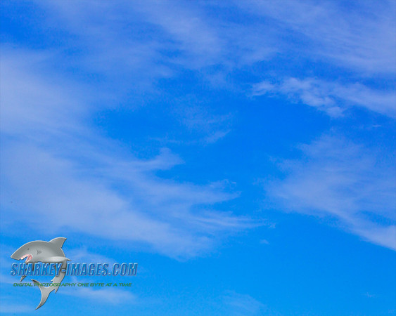 101114L 447 - Version 2