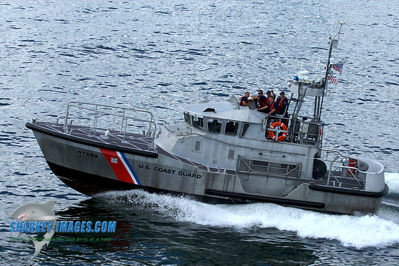 091309G 44 - Version 2.jpg