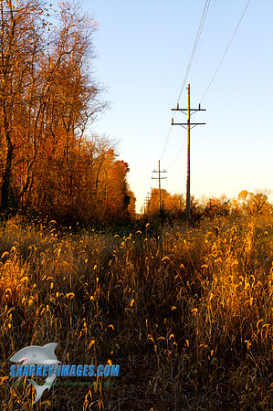 101111A 56 - Version 2