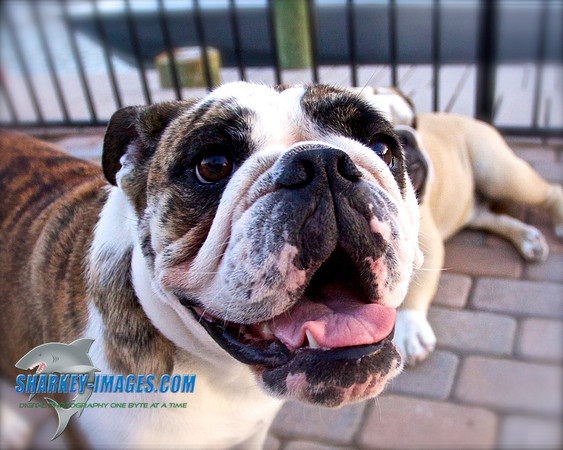 140922V2 192