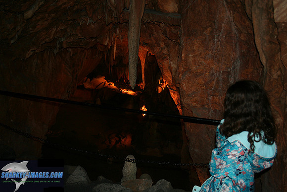 110208_ 005.jpg