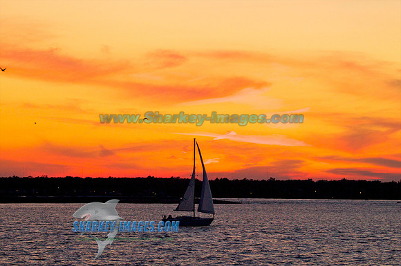 110812C 71 - Version 2