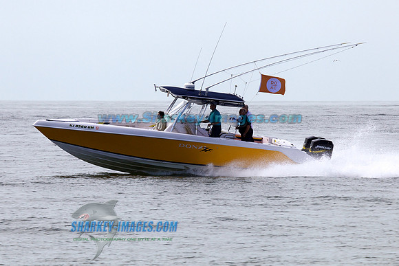 1306223SS 271