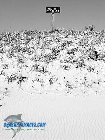 120207 15 - Version 2