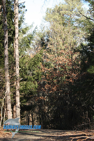 020209 010.jpg