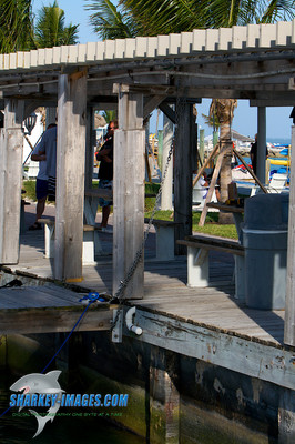 120223F 78 - Version 2