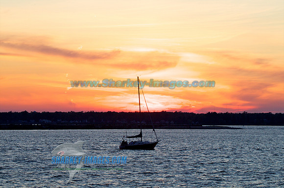 110812C 37 - Version 2