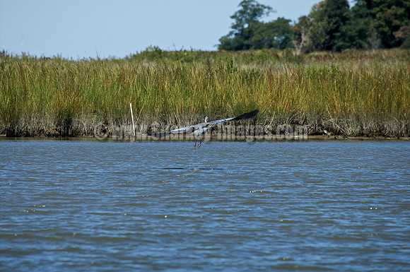 091909_2 153 - Version 2.jpg