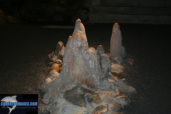 110208_ 051.jpg