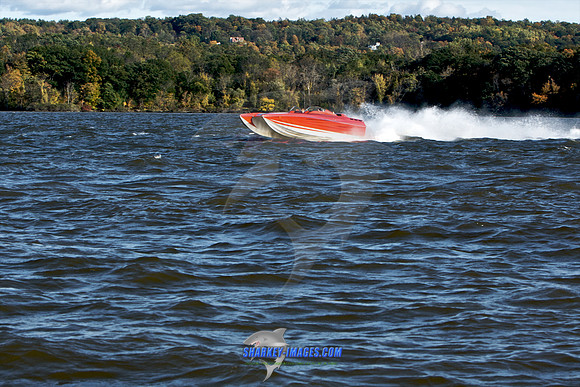 101009B 428 - Version 2.jpg