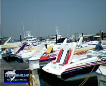 Picture 36.jpg