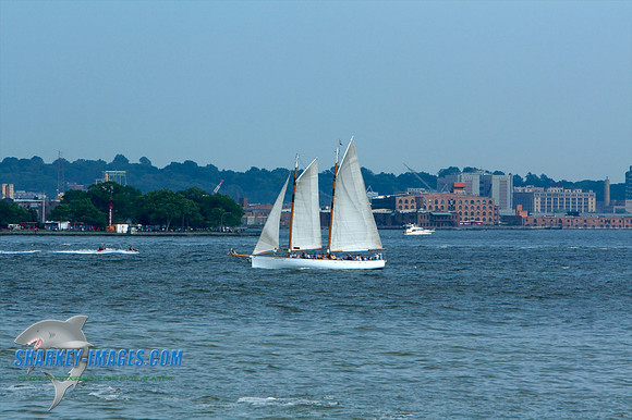 062010 36 - Version 2