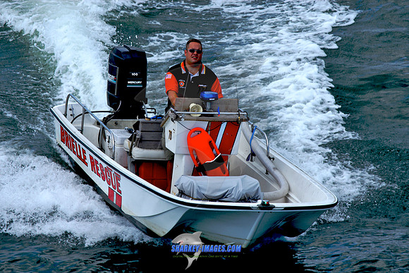 091309G 89 - Version 2.jpg