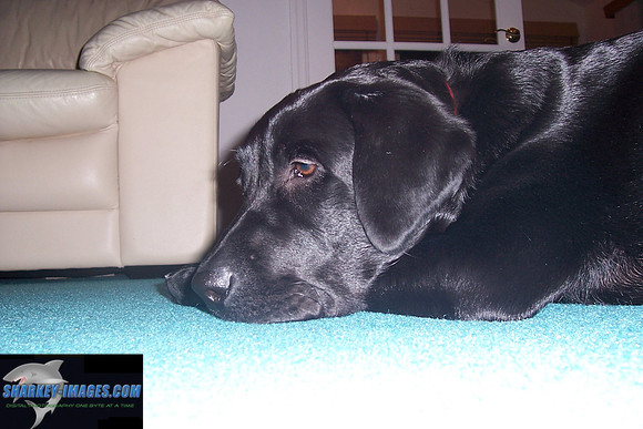 01 2009 017.jpg