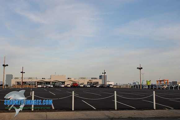 5T0F0517.JPG