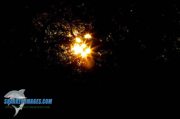 111030 12 - Version 2