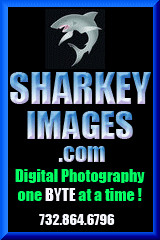 Sharkey-Images-160-X-240 F.gif