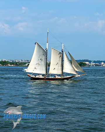 062010 49 - Version 2