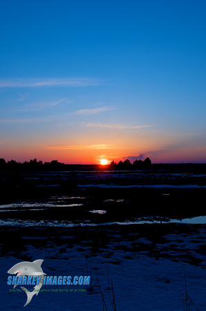 022010_ 11 - Version 2.jpg