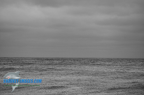 100903A 14 - Version 2