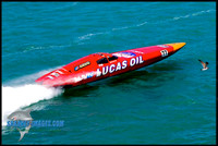 111113R2 186 - Version 2 LO RES