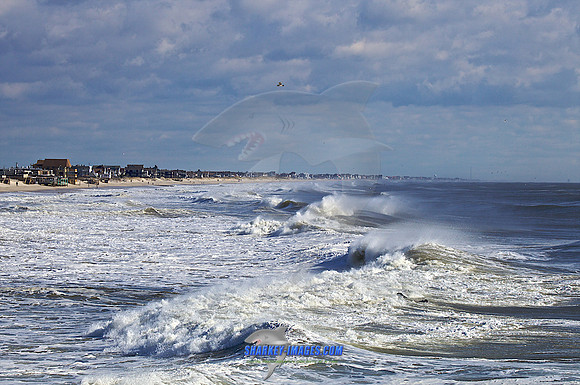 110416 88 - Version 2