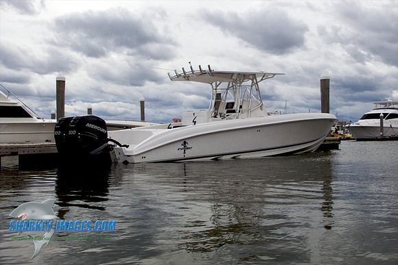 110917C 12 - Version 2