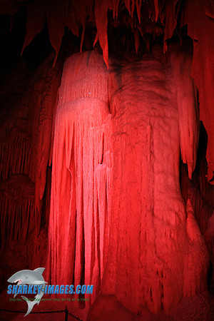 110108_ 078.jpg